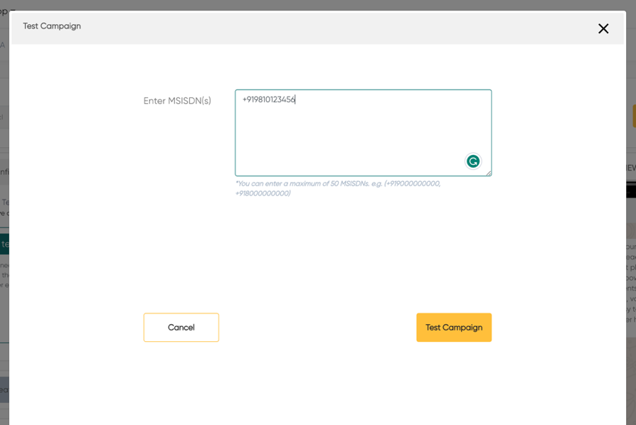 Test Campaign